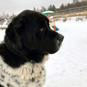 Meet your Posher, Sandara